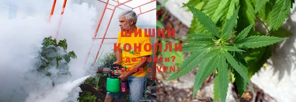 ПСИЛОЦИБИНОВЫЕ ГРИБЫ Алзамай