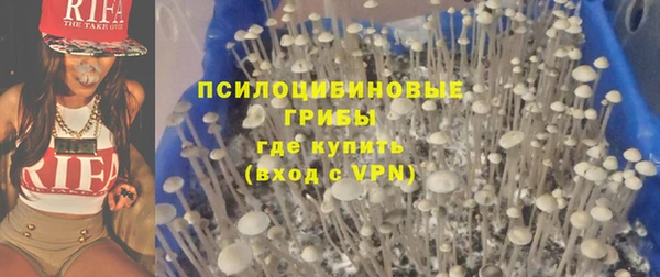 крисы Нягань